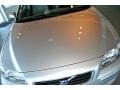 Silver Metallic - S60 2.5T Photo No. 11