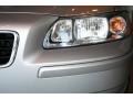 Silver Metallic - S60 2.5T Photo No. 46