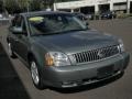 Light Tundra Metallic - Montego Luxury Photo No. 3