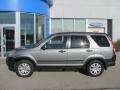 2005 Pewter Pearl Honda CR-V EX 4WD  photo #4