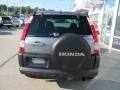 Pewter Pearl - CR-V EX 4WD Photo No. 7