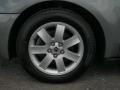 Light Tundra Metallic - Montego Luxury Photo No. 13
