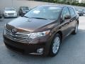 2009 Sunset Bronze Mica Toyota Venza I4  photo #2