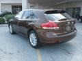 2009 Sunset Bronze Mica Toyota Venza I4  photo #8