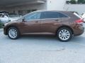 2009 Sunset Bronze Mica Toyota Venza I4  photo #9