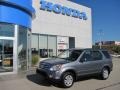 Pewter Pearl - CR-V SE 4WD Photo No. 1