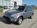 Pewter Pearl - CR-V SE 4WD Photo No. 2