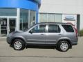 Pewter Pearl - CR-V SE 4WD Photo No. 3