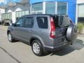 Pewter Pearl - CR-V SE 4WD Photo No. 4