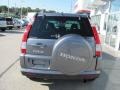 Pewter Pearl - CR-V SE 4WD Photo No. 5