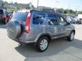 Pewter Pearl - CR-V SE 4WD Photo No. 6