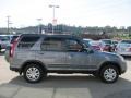 Pewter Pearl - CR-V SE 4WD Photo No. 7