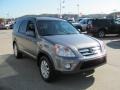 Pewter Pearl - CR-V SE 4WD Photo No. 10