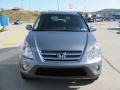 Pewter Pearl - CR-V SE 4WD Photo No. 11