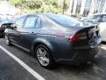 Polished Metal Metallic - TL 3.2 Photo No. 2