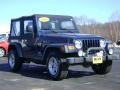 2005 Patriot Blue Pearl Jeep Wrangler X 4x4  photo #9