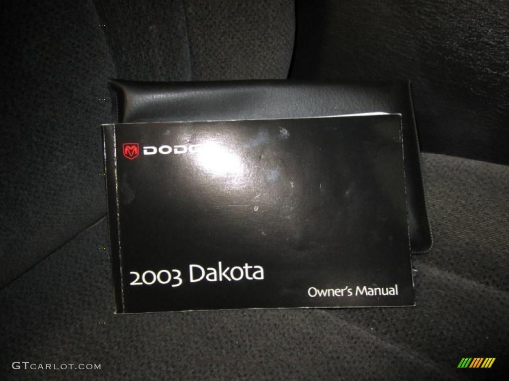 2003 Dakota SXT Regular Cab 4x4 - Graphite Metallic / Dark Slate Gray photo #7
