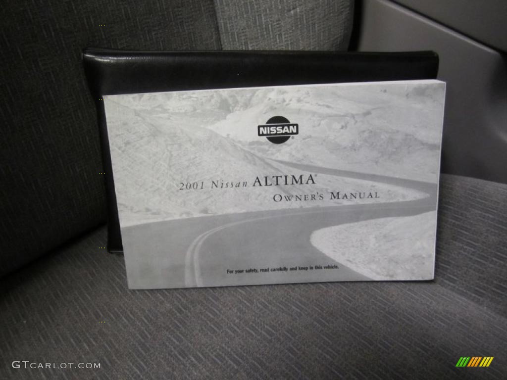 2001 Altima GXE - Platinum Metallic / Dusk photo #9