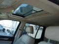 Black Clearcoat - Aviator Luxury AWD Photo No. 12
