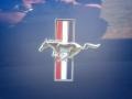 2006 Vista Blue Metallic Ford Mustang V6 Deluxe Coupe  photo #14