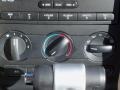 2006 Vista Blue Metallic Ford Mustang V6 Deluxe Coupe  photo #22