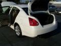 Winter Frost Pearl - Maxima 3.5 SL Photo No. 17