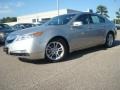 2009 Palladium Metallic Acura TL 3.5  photo #2