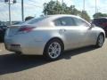 2009 Palladium Metallic Acura TL 3.5  photo #6
