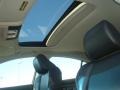 2009 Palladium Metallic Acura TL 3.5  photo #13