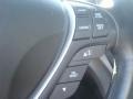 2009 Palladium Metallic Acura TL 3.5  photo #26
