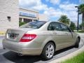 2010 Pearl Beige Metallic Mercedes-Benz C 300 Luxury  photo #6