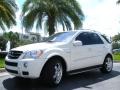 2008 Arctic White Mercedes-Benz ML 63 AMG 4Matic  photo #2