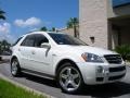 2008 Arctic White Mercedes-Benz ML 63 AMG 4Matic  photo #4