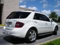 2008 Arctic White Mercedes-Benz ML 63 AMG 4Matic  photo #6