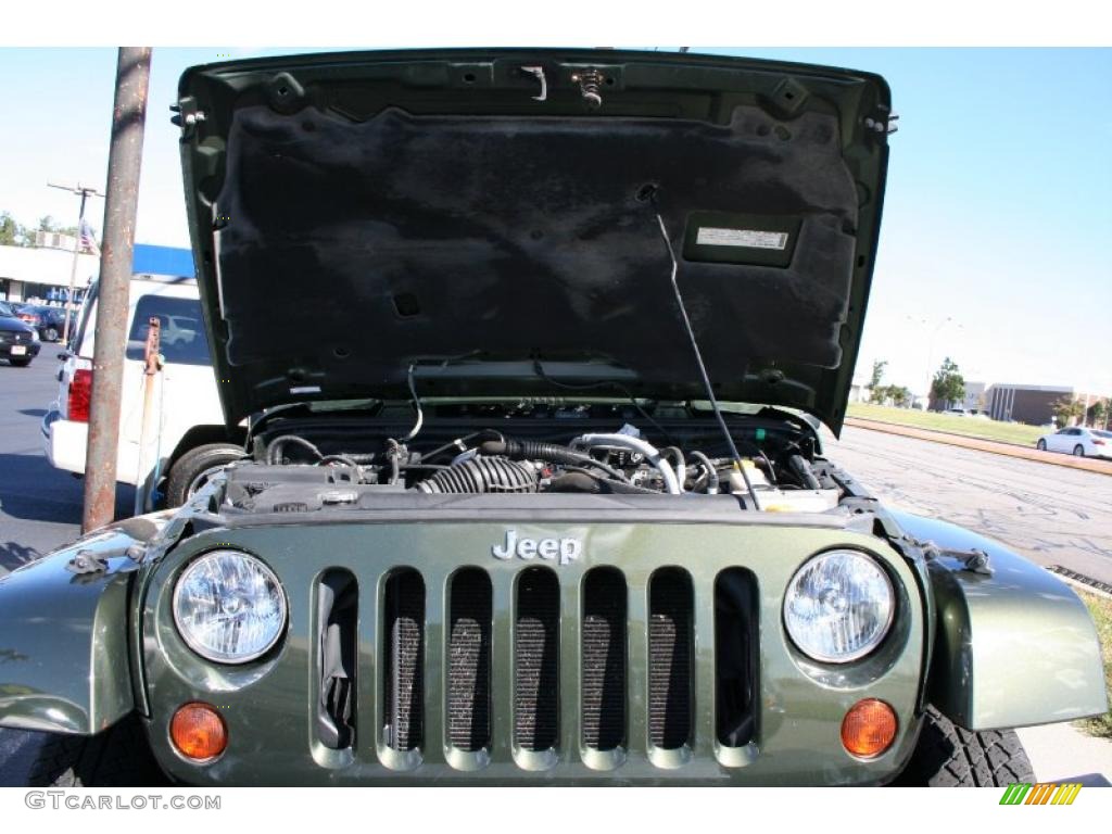 2008 Wrangler Unlimited Sahara 4x4 - Jeep Green Metallic / Dark Slate Gray/Med Slate Gray photo #9