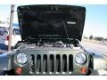 Jeep Green Metallic - Wrangler Unlimited Sahara 4x4 Photo No. 9