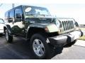 Jeep Green Metallic - Wrangler Unlimited Sahara 4x4 Photo No. 17