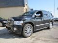 Liquid Onyx Black - QX 56 Photo No. 3