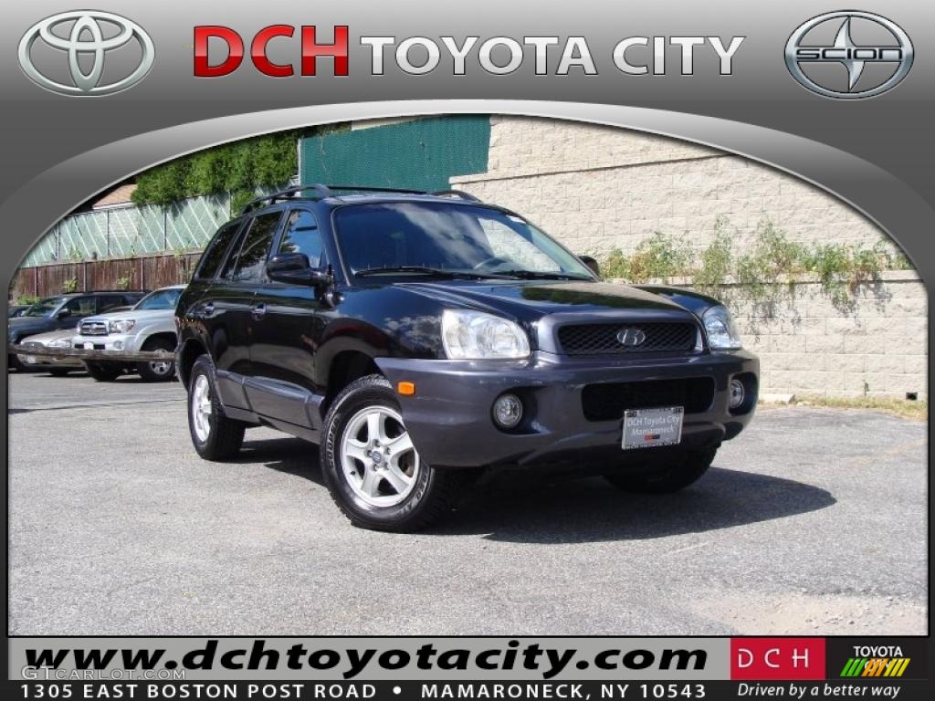 2004 Santa Fe LX 4WD - Black Obsidian / Gray photo #1