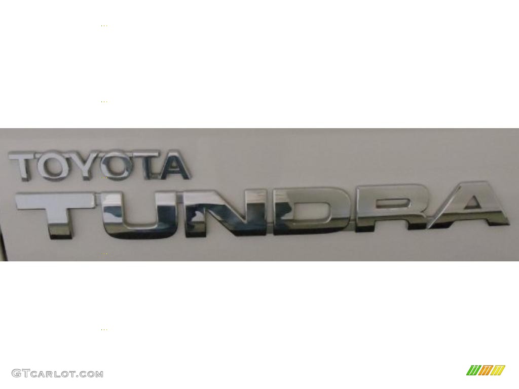2010 Tundra Double Cab - Super White / Graphite Gray photo #7