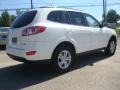 Pearl White - Santa Fe GLS Photo No. 6