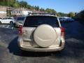 2007 Savannah Metallic Toyota RAV4 4WD  photo #3