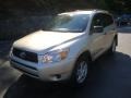 2007 Savannah Metallic Toyota RAV4 4WD  photo #11