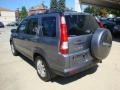 Pewter Pearl - CR-V Special Edition 4WD Photo No. 2