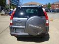 Pewter Pearl - CR-V Special Edition 4WD Photo No. 3