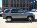 Pewter Pearl - CR-V Special Edition 4WD Photo No. 5