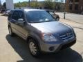 Pewter Pearl - CR-V Special Edition 4WD Photo No. 6