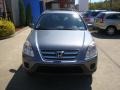 Pewter Pearl - CR-V Special Edition 4WD Photo No. 10
