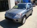 Pewter Pearl - CR-V Special Edition 4WD Photo No. 11