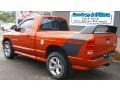 2005 Go ManGo! Dodge Ram 1500 SLT Daytona Regular Cab 4x4  photo #10